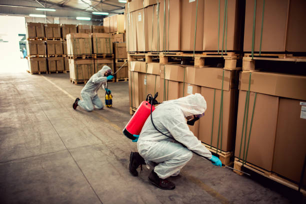 Best Pest Control for Restaurants  in Boonville, IN