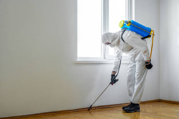 Best Wildlife Control Services  in Boonville, IN