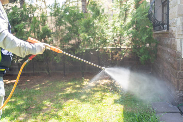 Best Wasp Removal Services  in Boonville, IN