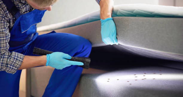 Best Best Pest Control Companies  in Boonville, IN