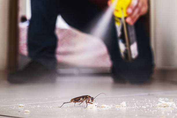 Best Cockroach Control Services  in Boonville, IN