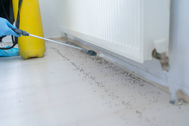 Best Mosquito Control Services  in Boonville, IN