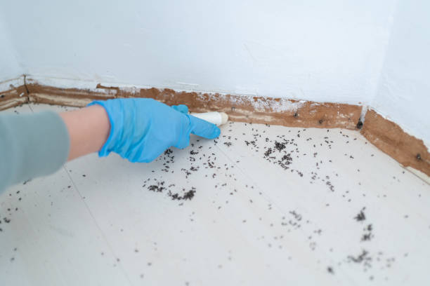 Best Commercial Pest Control Services  in Boonville, IN