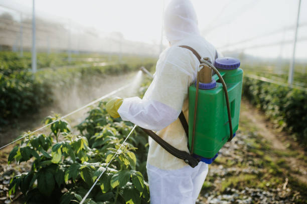 Best Exterminator Services  in Boonville, IN